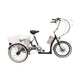 Powatryke Cruiser Electric Tricycle – 250W Motor, 36V 10Ah Battery, 6-Speed Shimano & Low Step-Through Frame