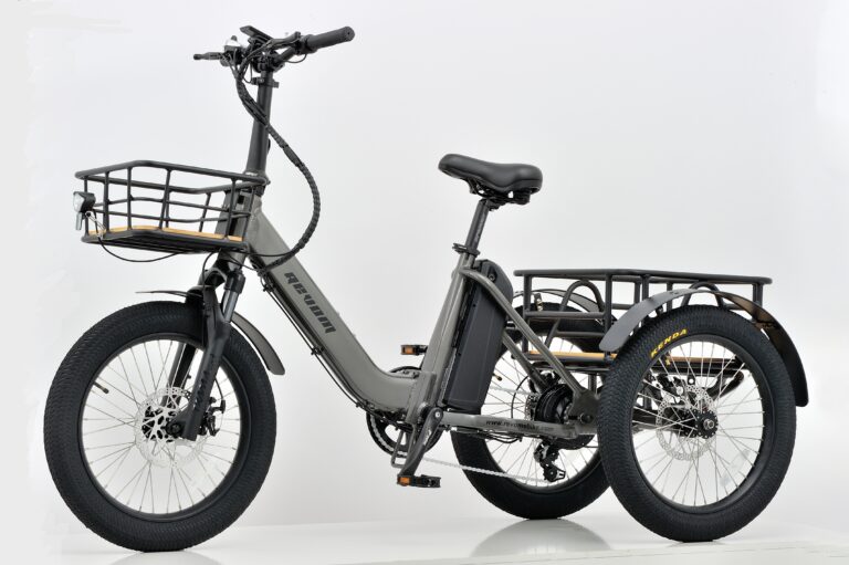 Revom T1F Folding Urban Electric Tricycle 48V 250W Motor 720Wh Battery 20 x 3.0 Kenda Tyres