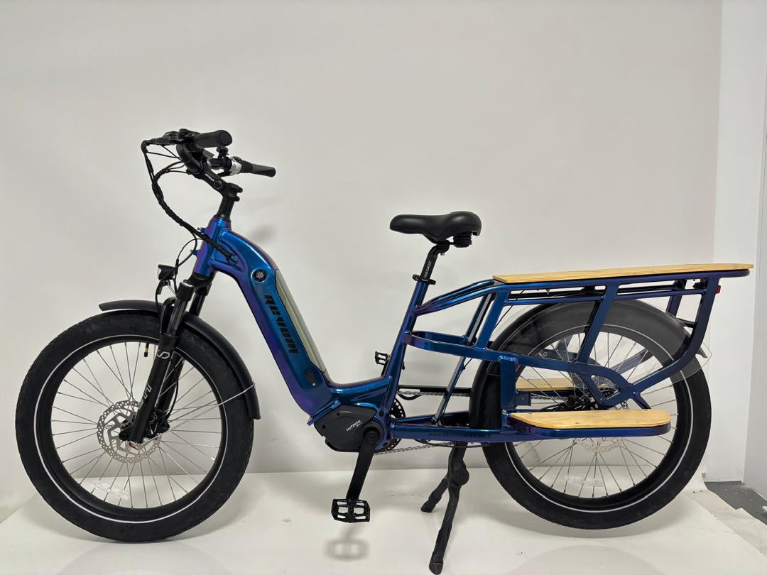 Revom C2 eCargo Bike 48V 250W 100Nm Motor 15Ah Battery 24 x 3in Tyres Electric Family Cargo Bike