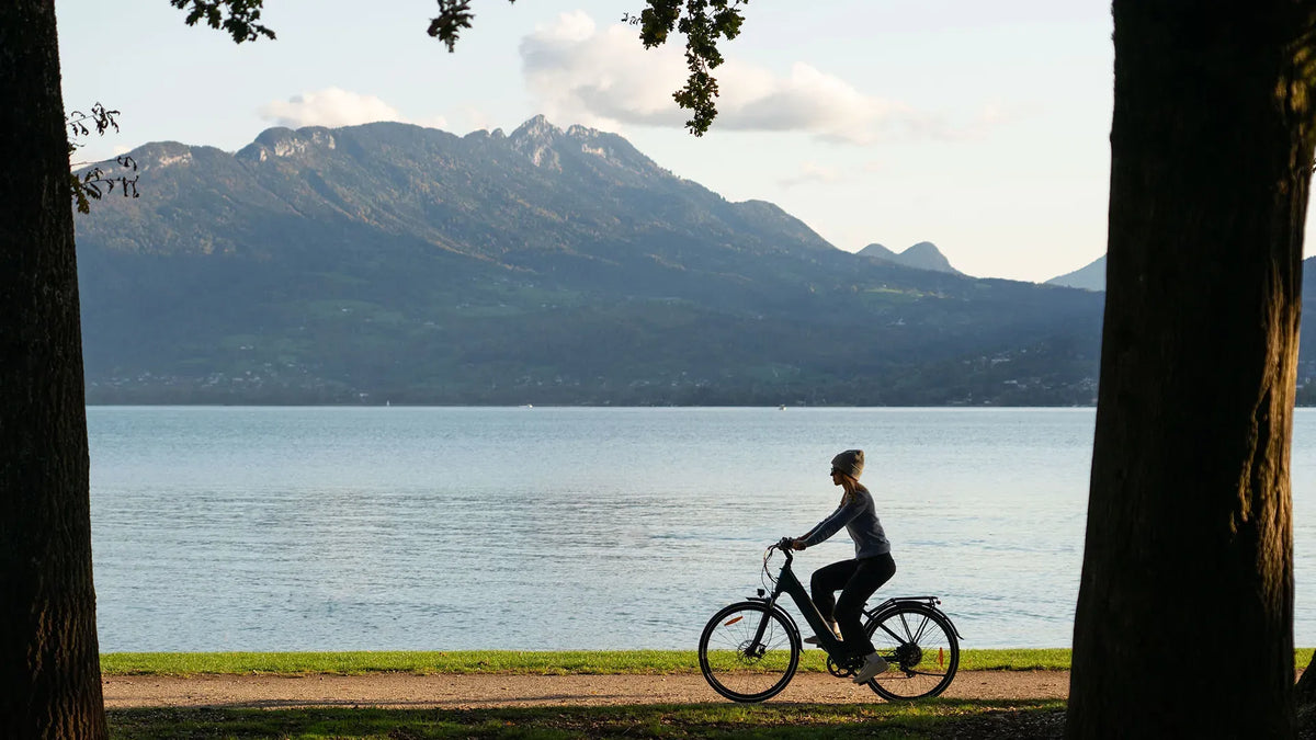 C11 City E-Bike
