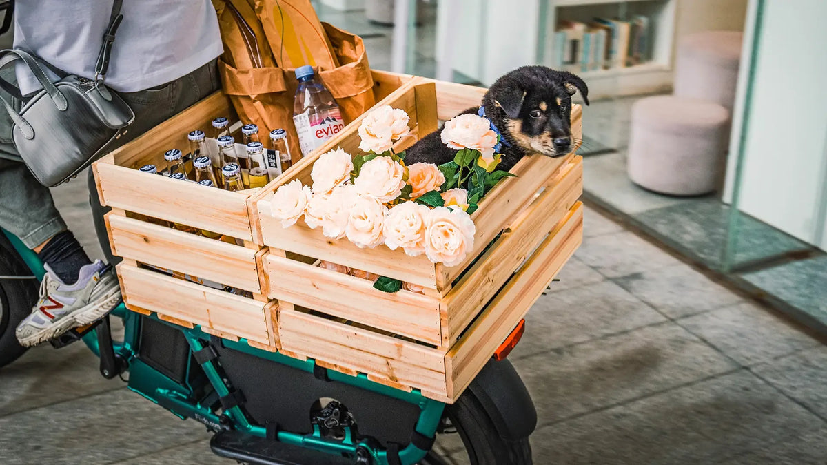 T2 Longtail Cargo E-bike
