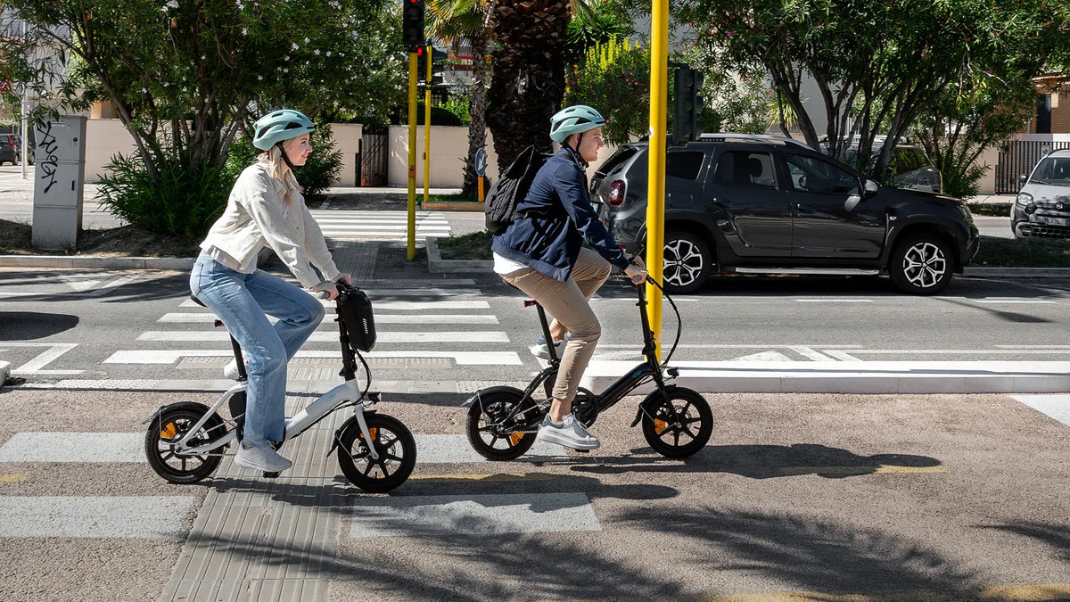 D3 Pro Mini Electric Bike