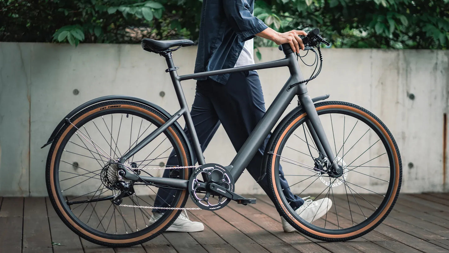 C21 E-Gravel & City E-Bike